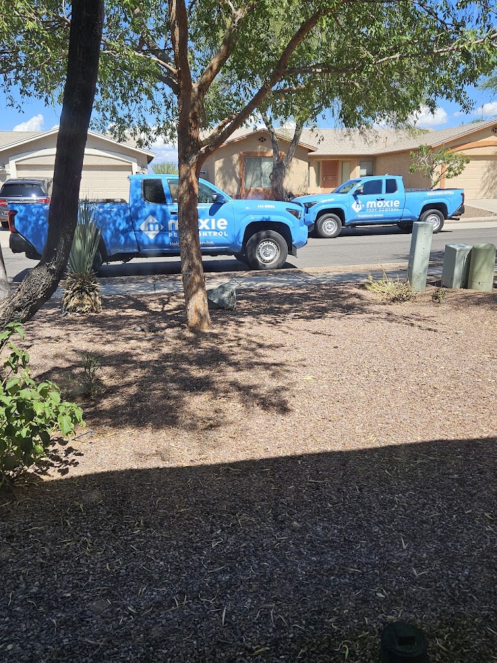 Moxie Pest Control project